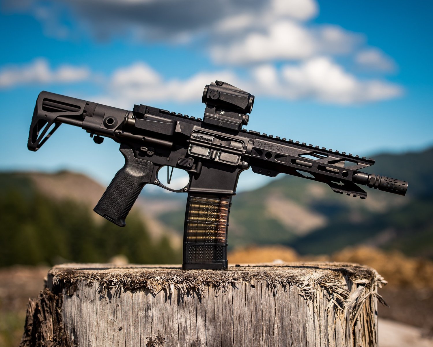 Rifle range training setup